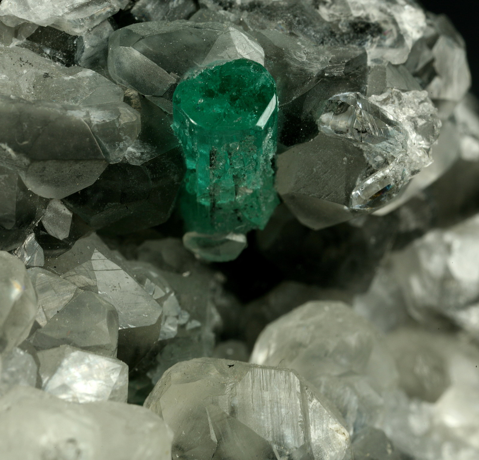 Beryl (variety emerald), Calcite, Quartz
Emerald crystal is 11mm long
(Autor: Fiebre Verde)