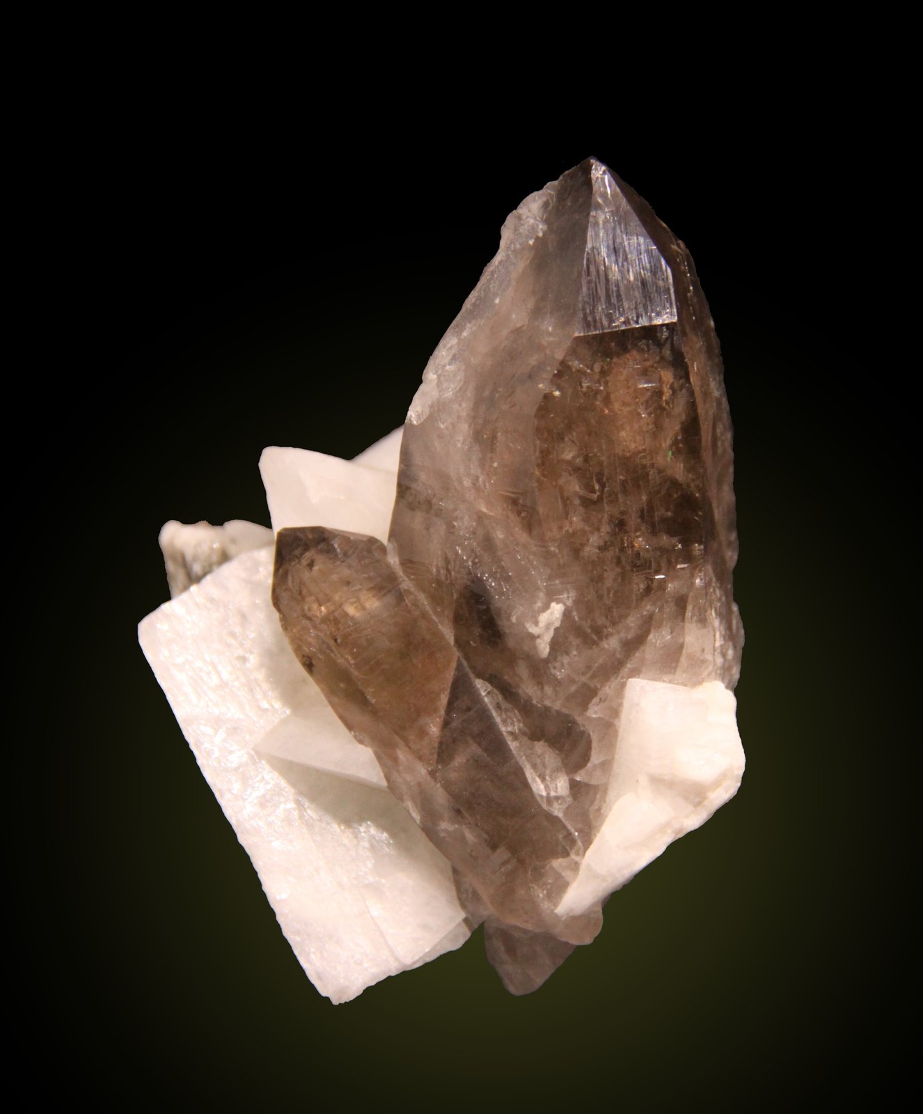 Quartz (variety smoky) and Orthoclase (variety adularia)
78mm x 94mm x 65mm
(Autor: Firmo Espinar)