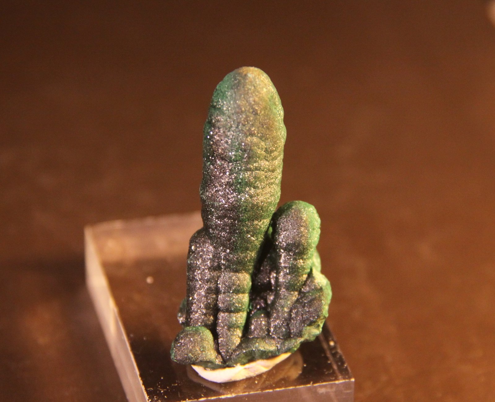 Malachite
21mm x 43mm x 17mm
(Autor: Firmo Espinar)