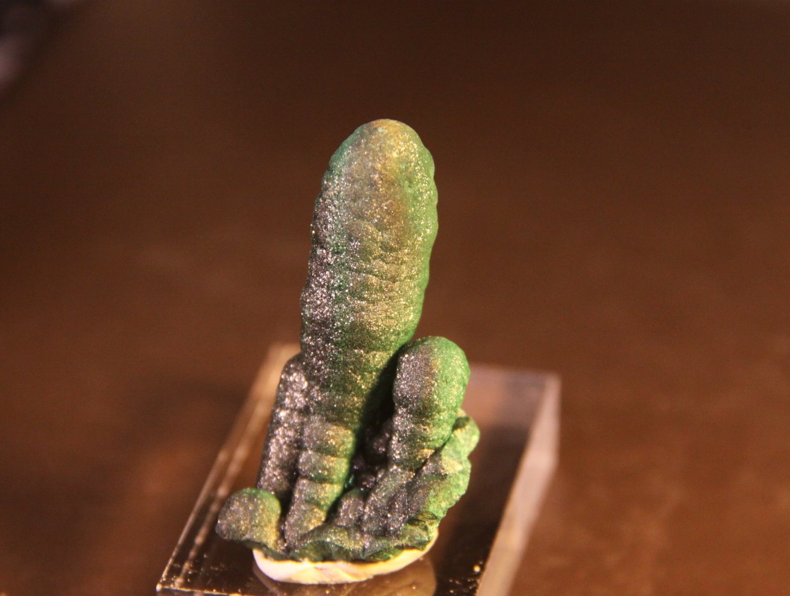 Malachite
21mm x 43mm x 17mm
(Autor: Firmo Espinar)