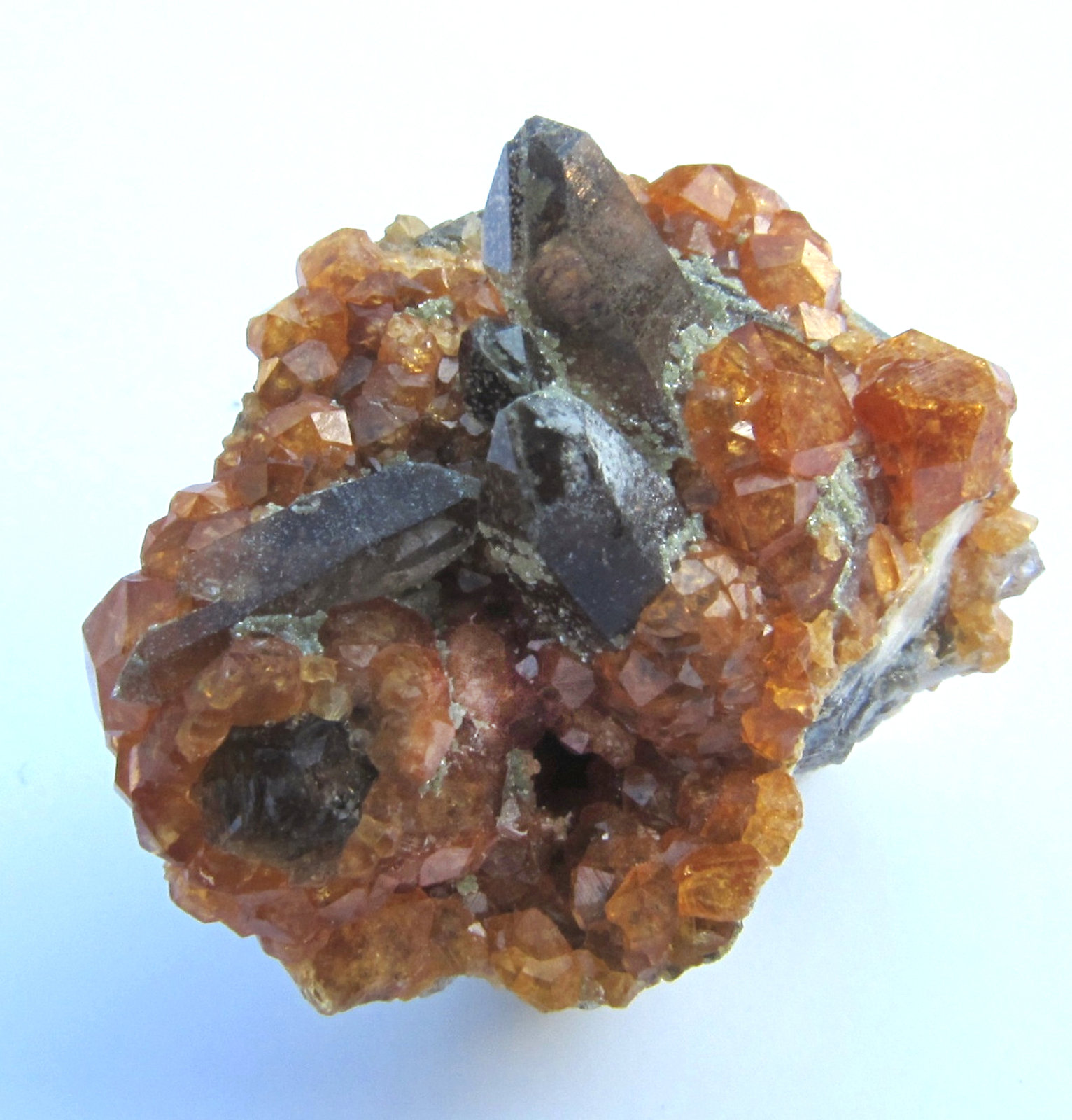 Quartz (var. smoky) and Spessartine
2.4 x 1.4 cm
(Autor: steven calamuci)
