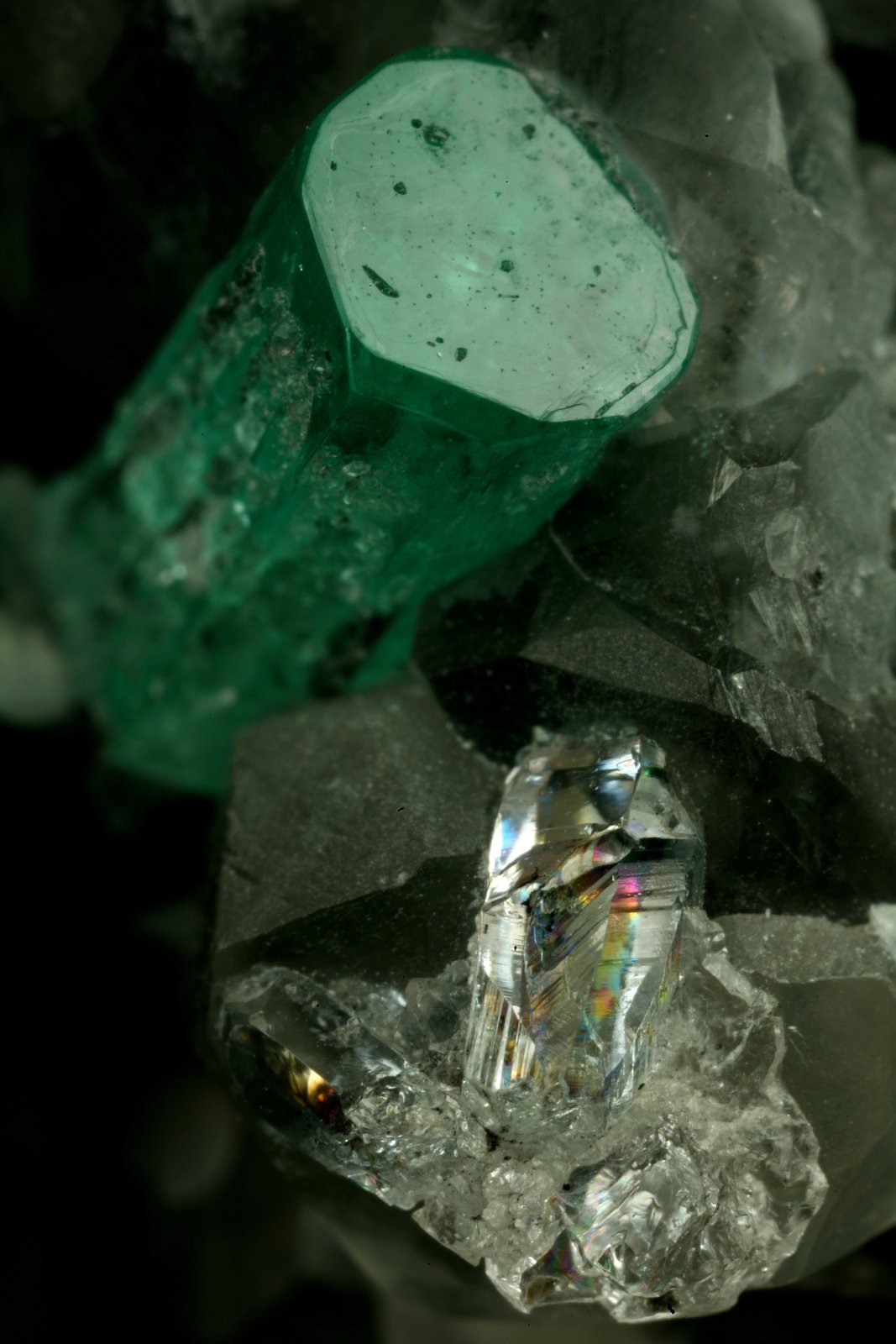 Beryl (variety emerald), Calcite, Quartz
Emerald crystal is 11mm long
(Autor: Fiebre Verde)
