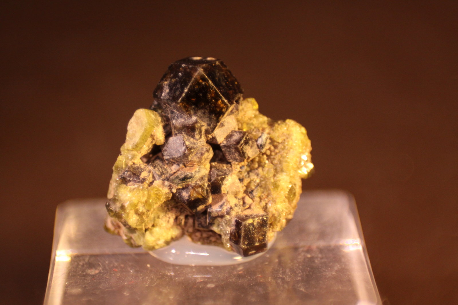 Andradite
24mm x 22mm x 16mm
(Autor: Firmo Espinar)
