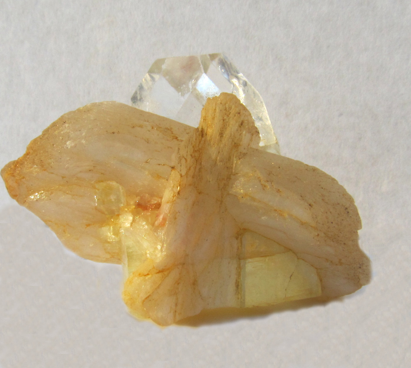 Apophyllite (Group) on Stilbite
3.6 x 2.3 cm
(Autor: steven calamuci)