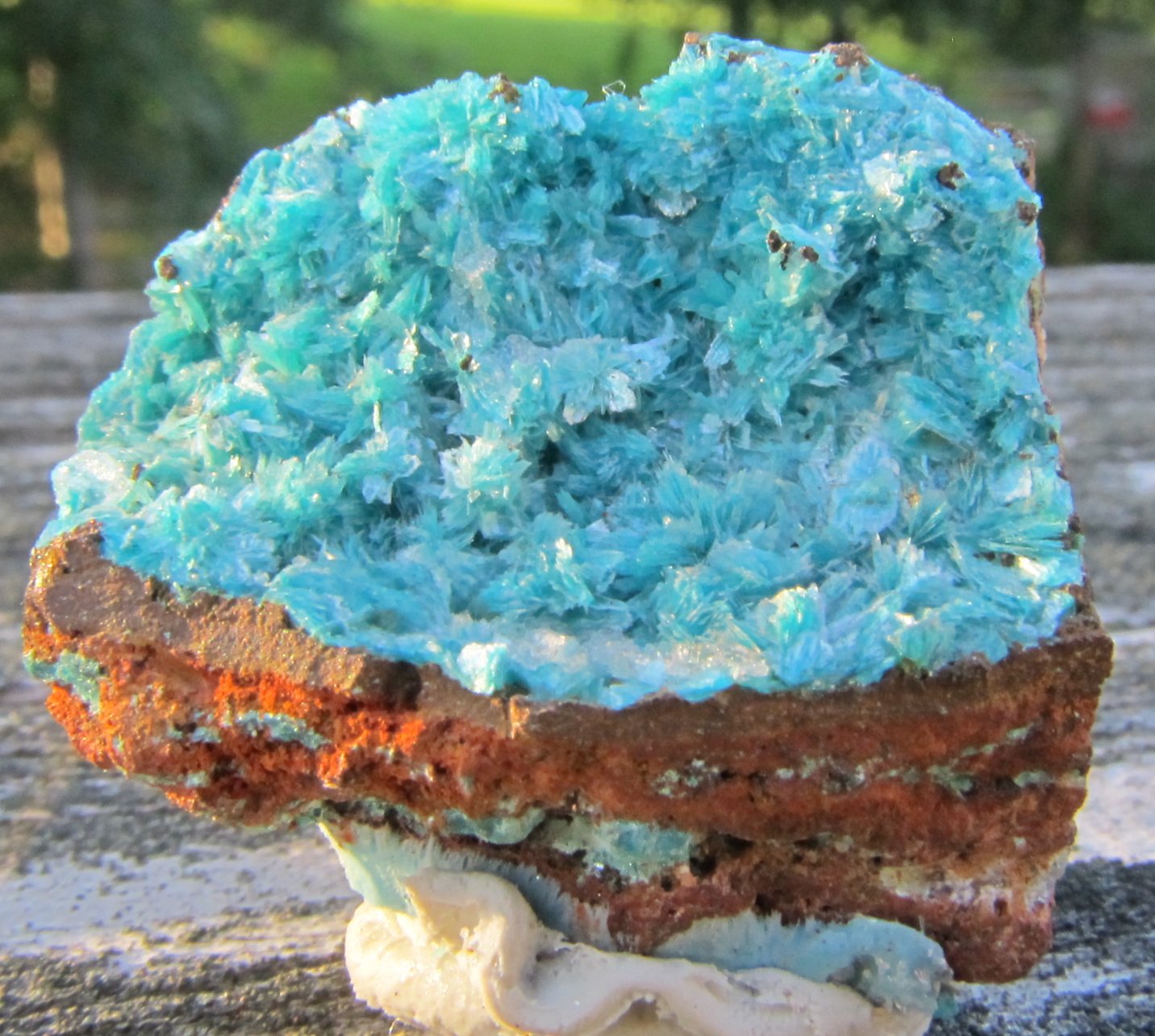Aurichalcite
17 x 13 mm
(Autor: steven calamuci)