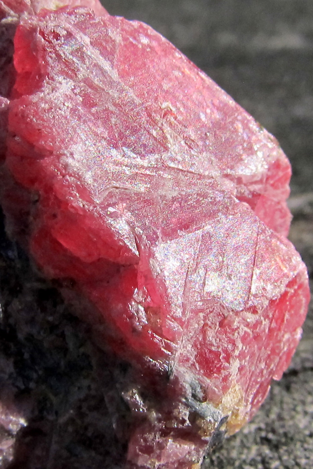 Rhodonite
4.2 x 2.7 cm
(Autor: steven calamuci)