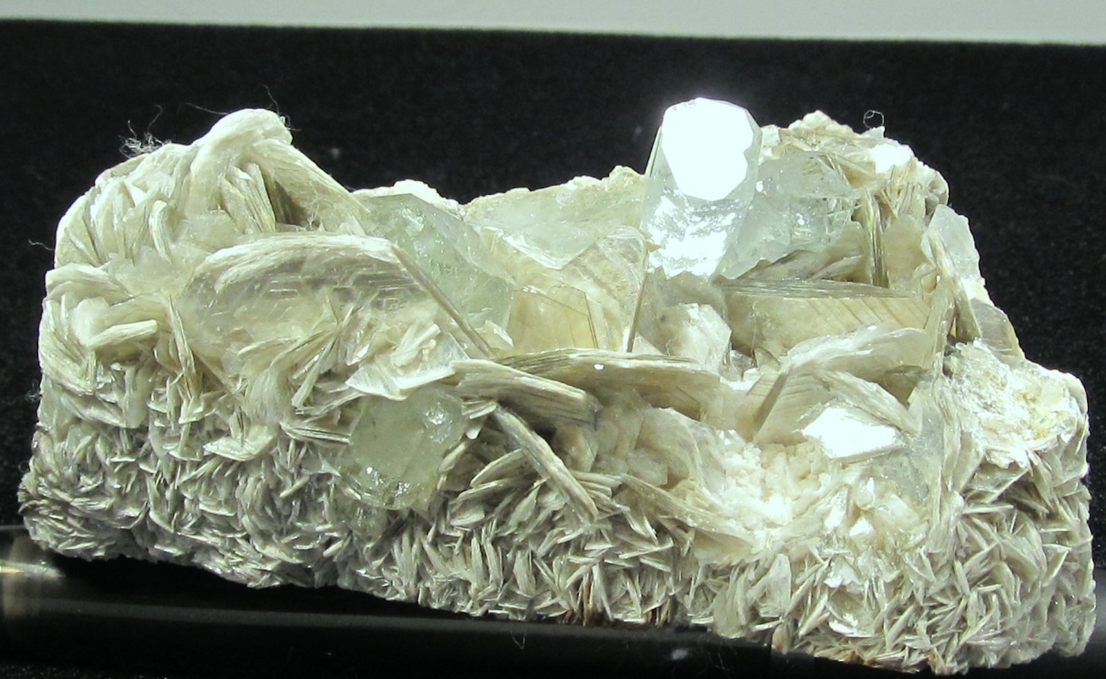 Beryl (var. aquamarine), Muscovite
85 MM X 83 MM X 45 MM
(Autor: steven calamuci)
