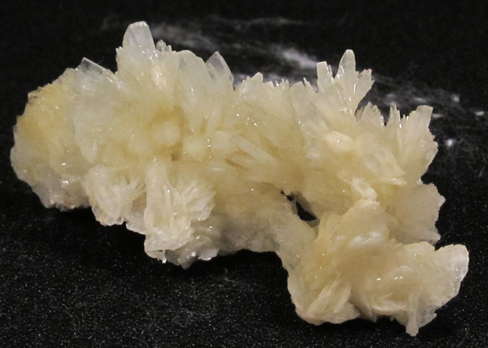 Barite
63 MM X 30 MM X 24 MM
(Autor: steven calamuci)