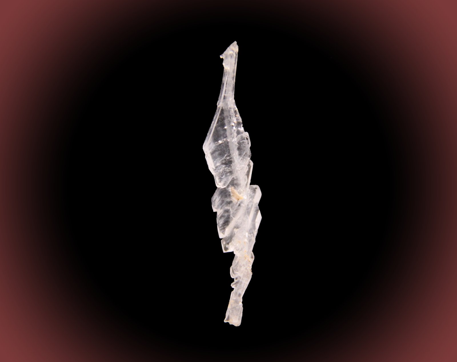 Quartz (variety faden)
12mm x 57mm x 5mm
(Autor: Firmo Espinar)