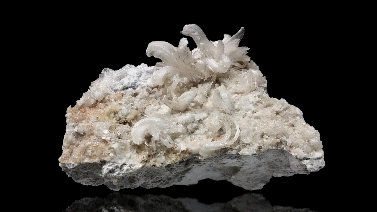 Gypsum
mm.70x70x55
(Autor: Diego Pucci)