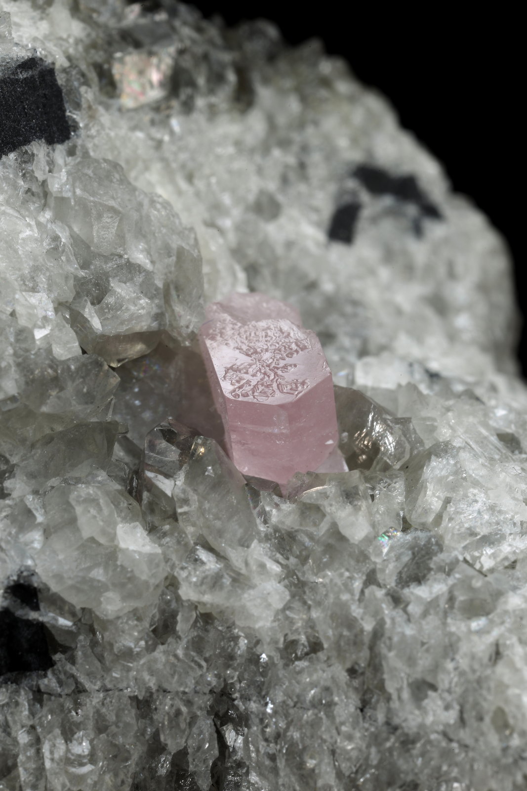 Fluorapatite and Calcite
73x50x43mm, aggregate=25x15mm, fluorapatite xl=6mm
(Autor: Fiebre Verde)