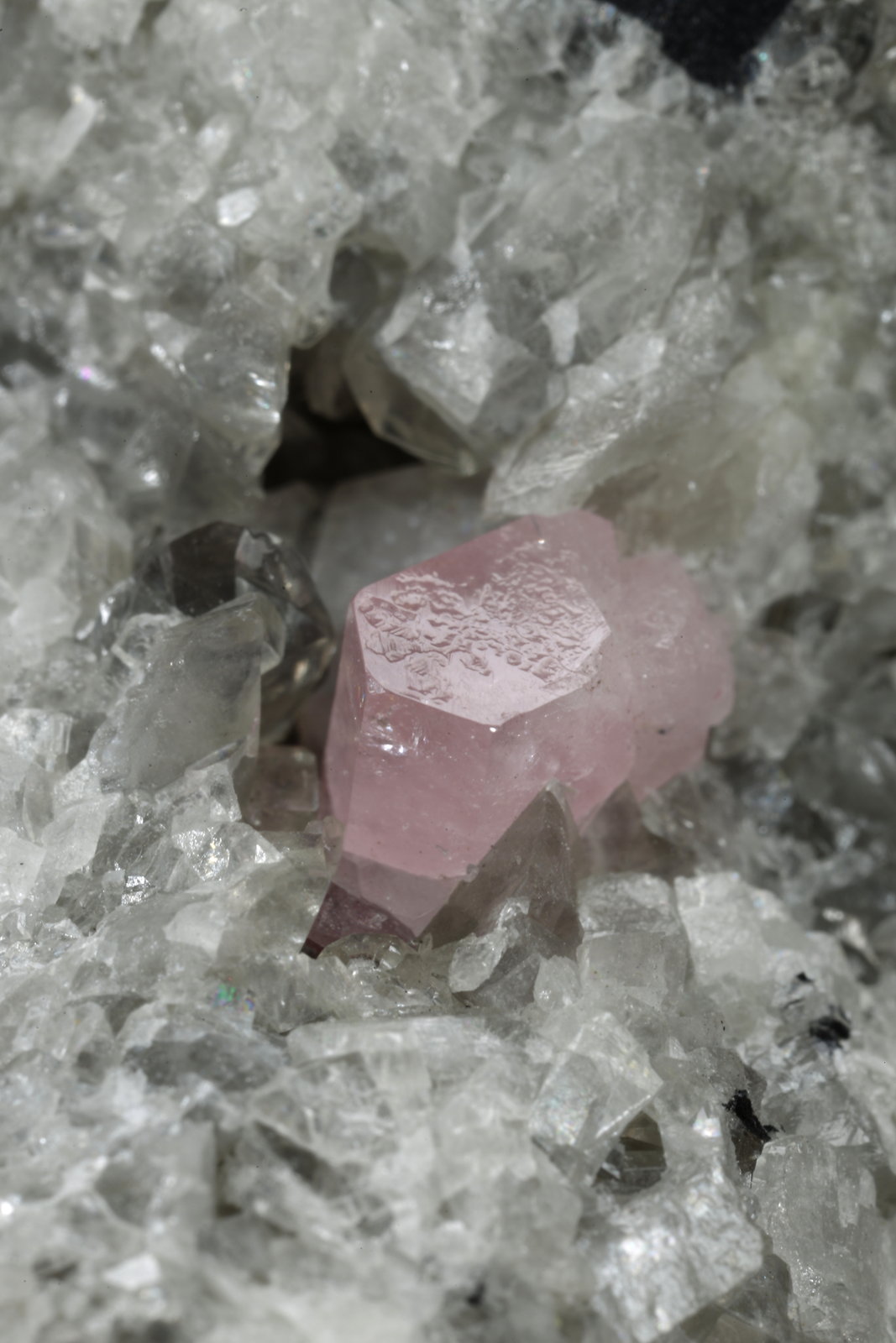 Fluorapatite and Calcite
73x50x43mm, aggregate=25x15mm, fluorapatite xl=6mm
(Autor: Fiebre Verde)