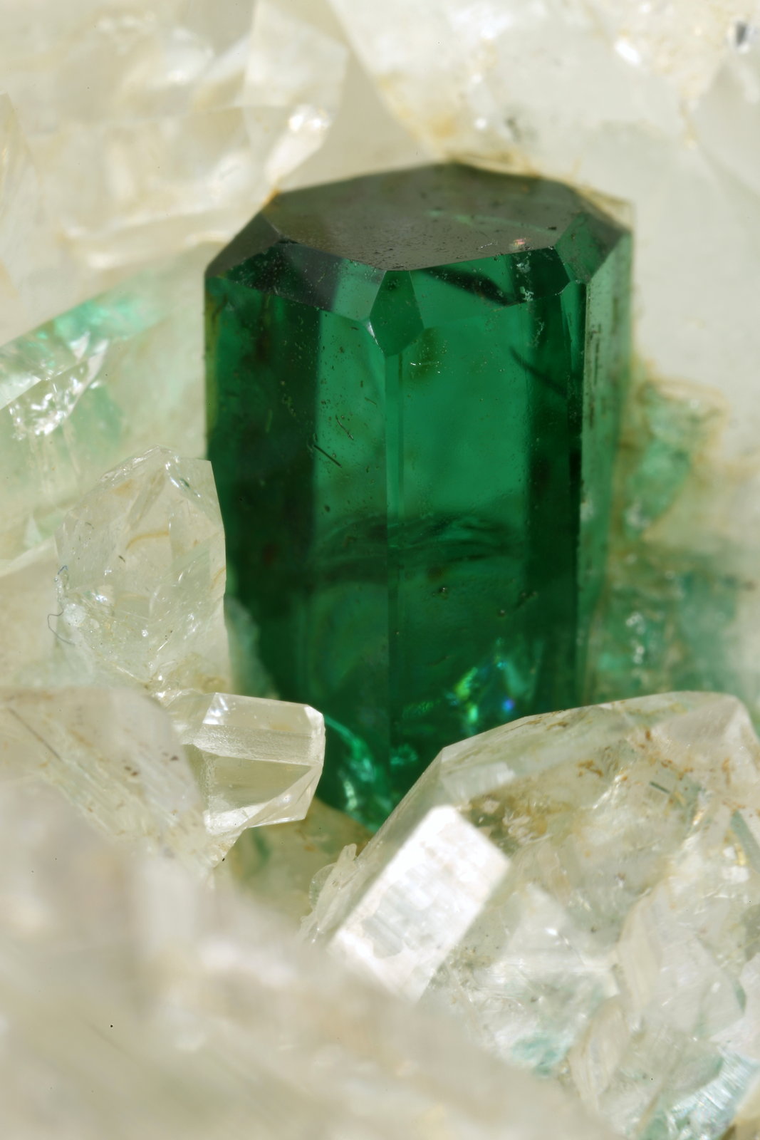 Beryl (variety emerald), Quartz
40mm across, xl=7mm
(Autor: Fiebre Verde)