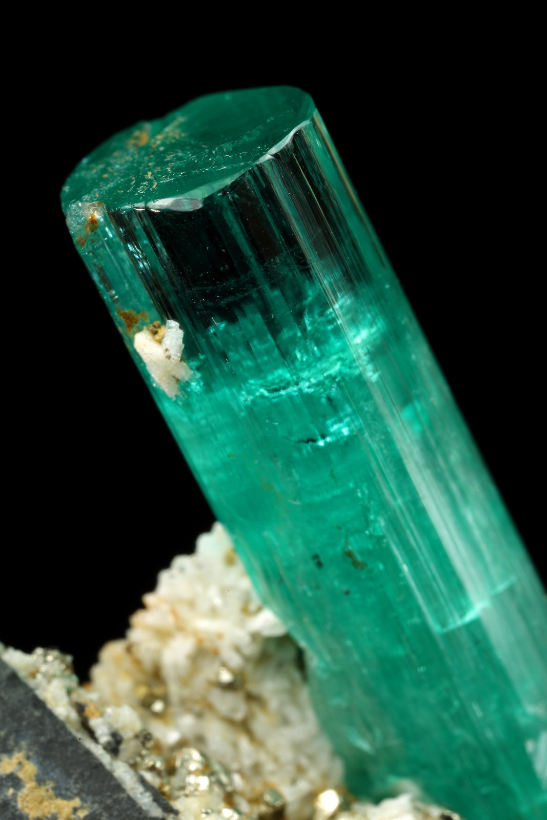 Beryl (variety emerald), Albite (variety cleavelandite), Pyrite
crystal=45mm
(Autor: Fiebre Verde)
