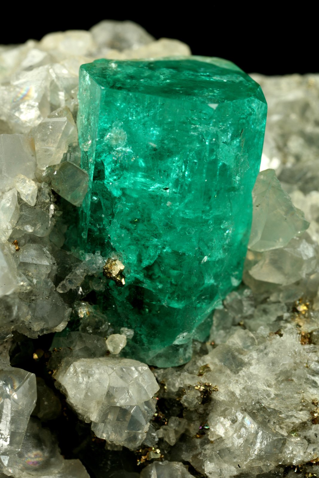 Beryl (variety emerald), Calcite, Pyrite
xl=14mm
(Autor: Fiebre Verde)