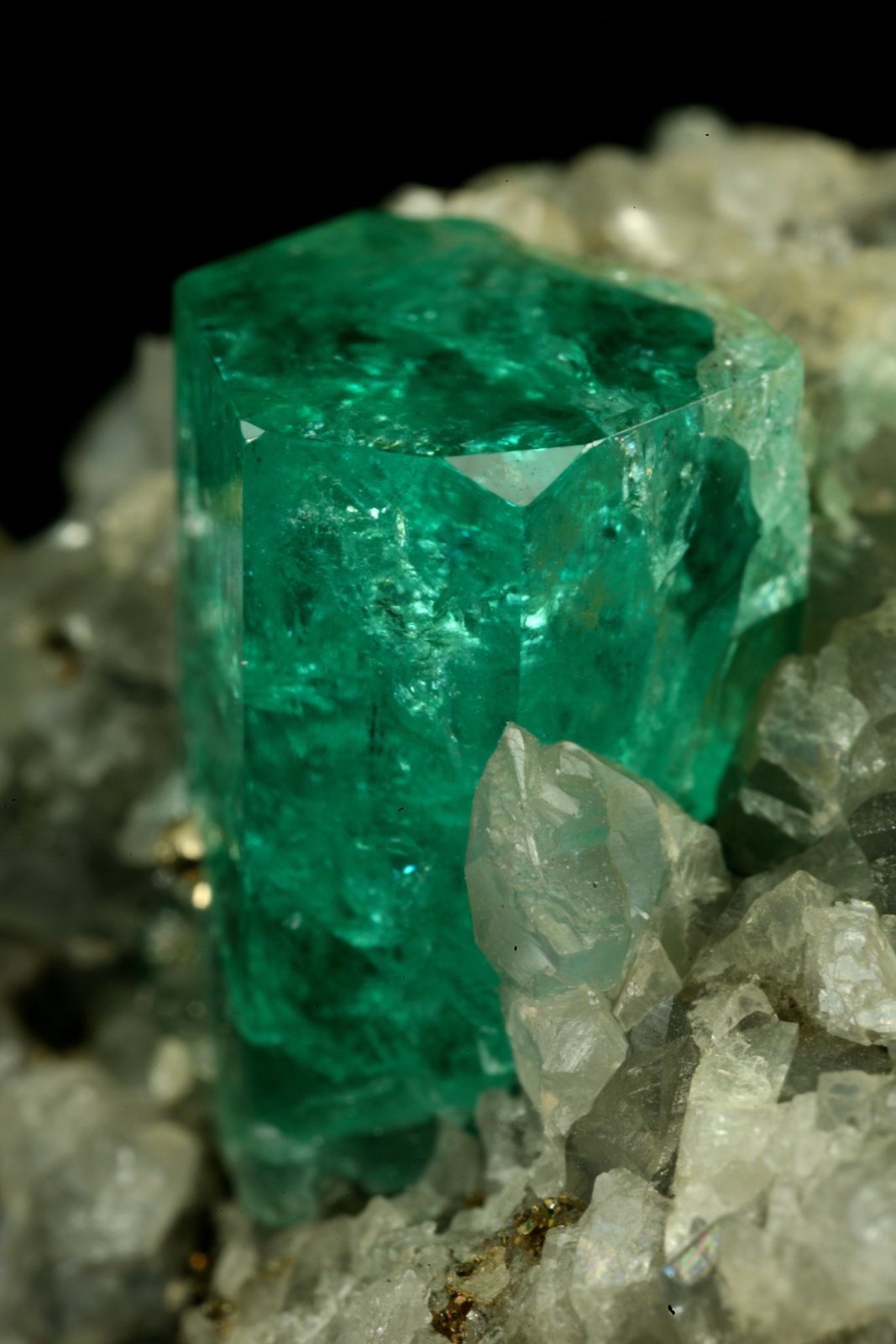 Beryl (variety emerald), Calcite, Pyrite
xl=14mm
(Autor: Fiebre Verde)