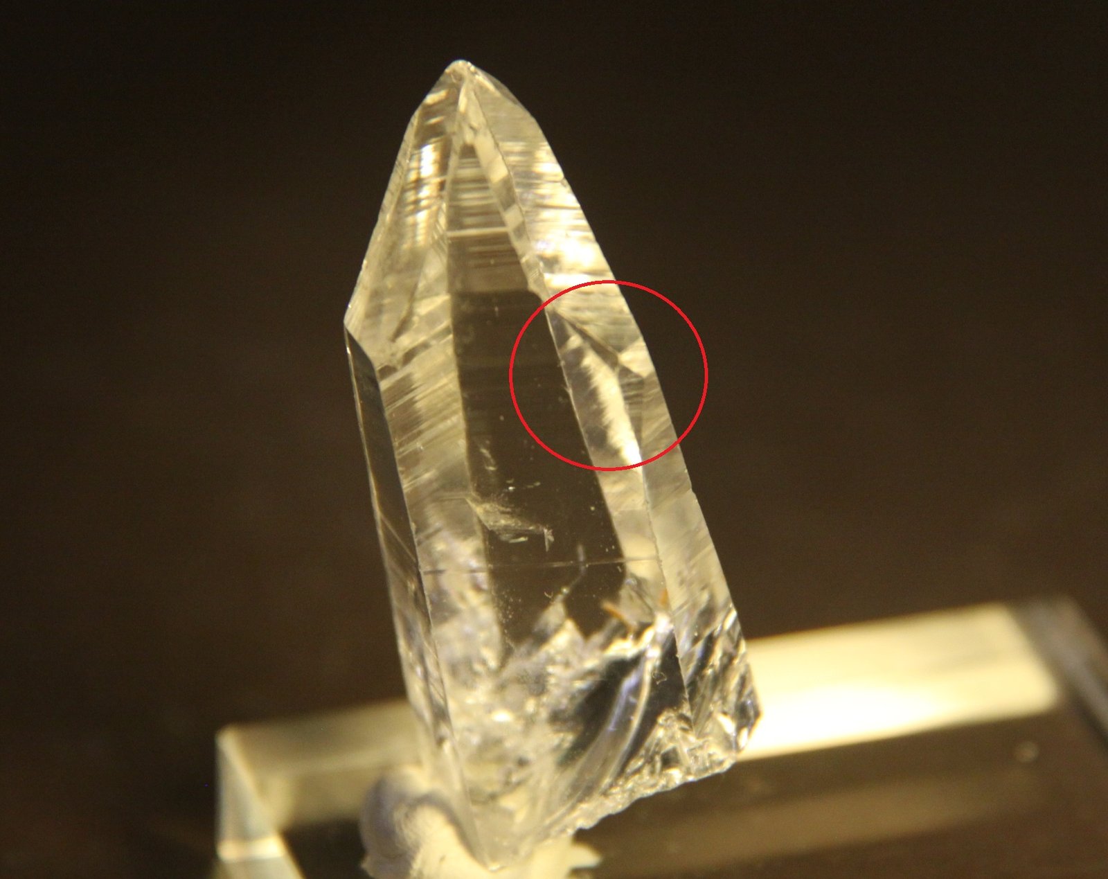Quartz
25mm x 56mm x 18mm
(Autor: Firmo Espinar)