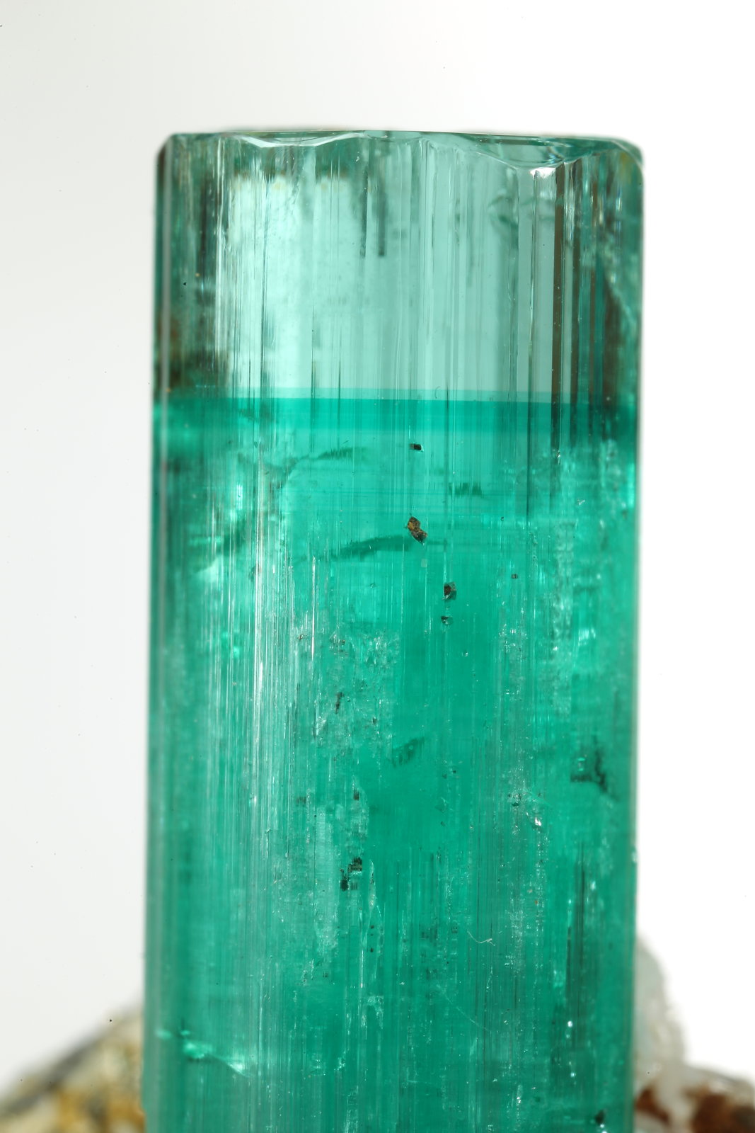 Beryl (variety emerald), Albite (variety cleavelandite), Pyrite
crystal=45mm
(Autor: Fiebre Verde)