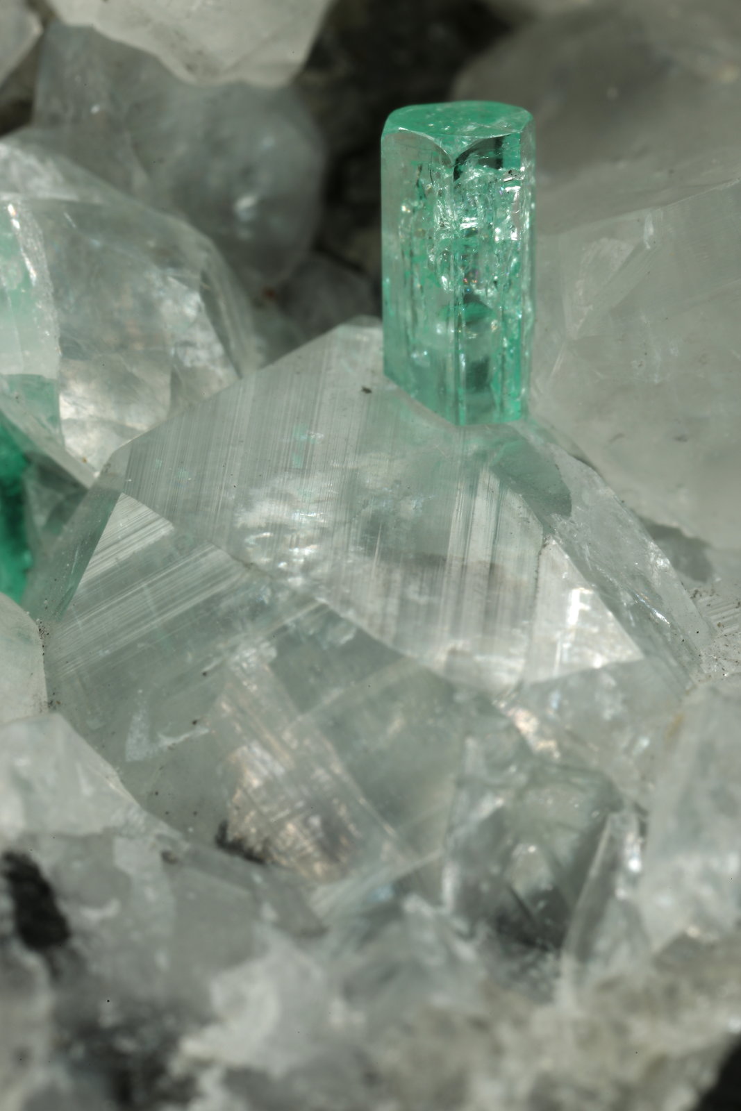 Beryl (variety emerald), Calcite
49x44x36mm, xls=6 & 4mm
(Autor: Fiebre Verde)