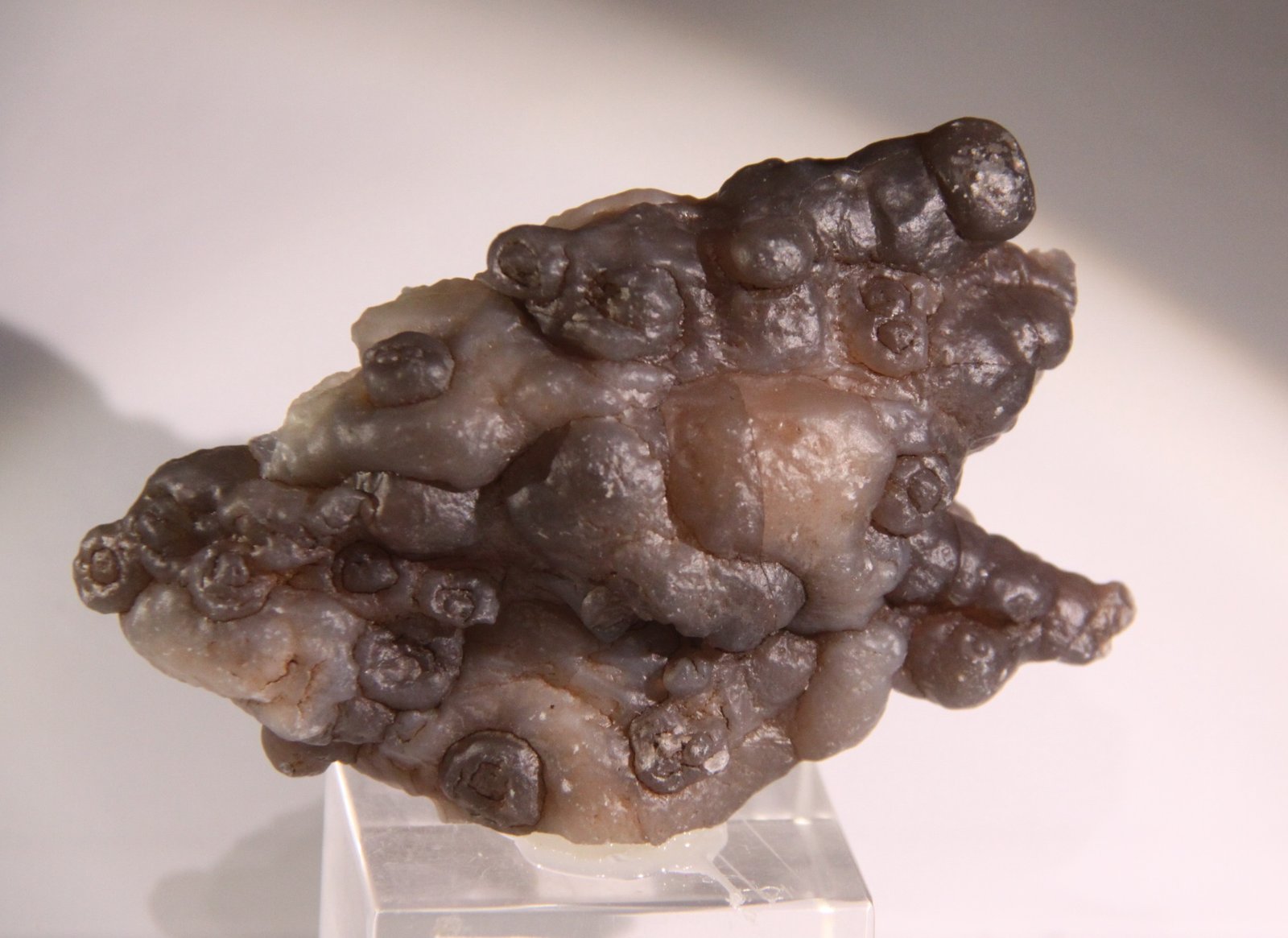 Quartz (variety chalcedony)
108mm x 67mm x 34mm
(Autor: Firmo Espinar)