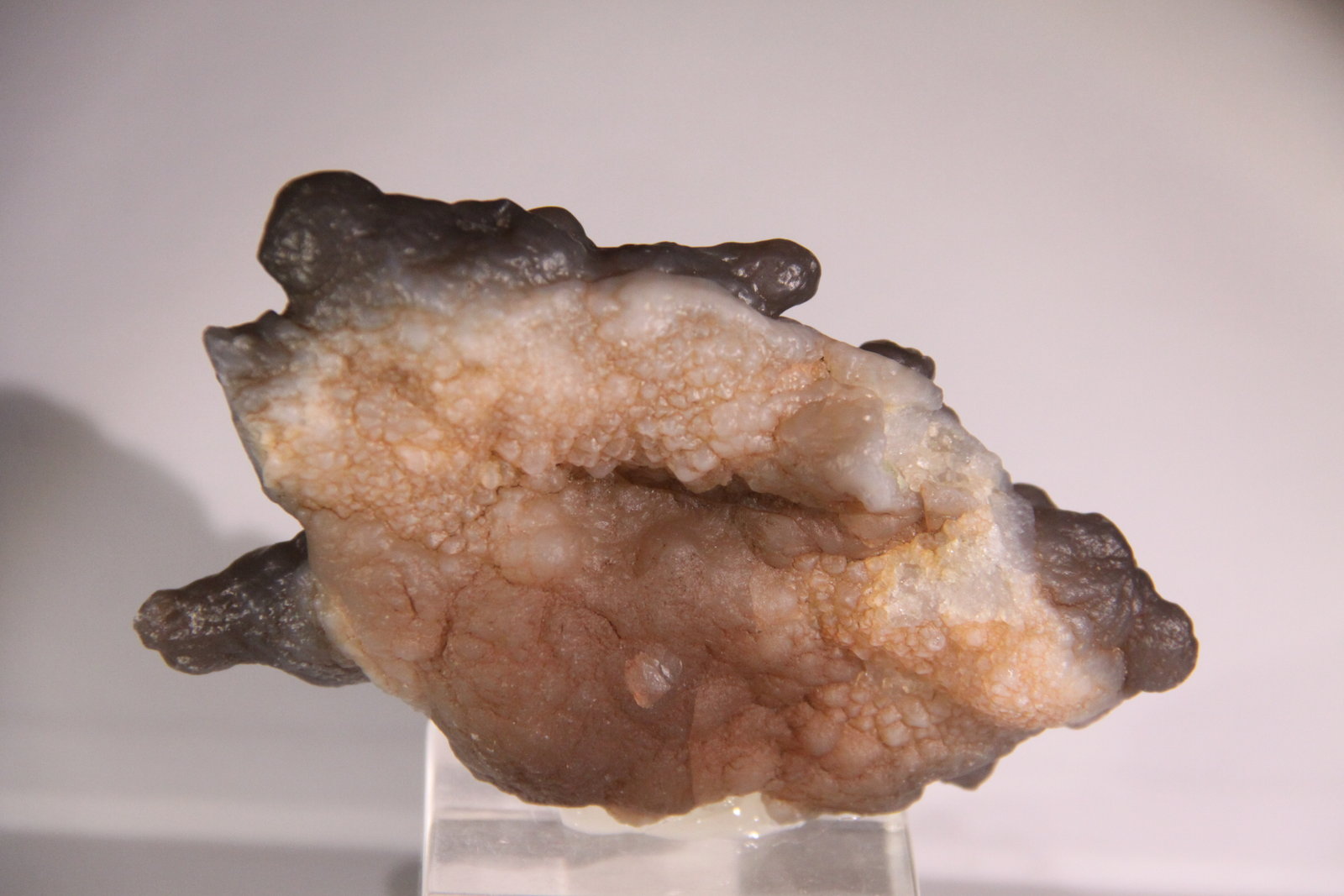Quartz (variety chalcedony)
108mm x 67mm x 34mm
(Autor: Firmo Espinar)