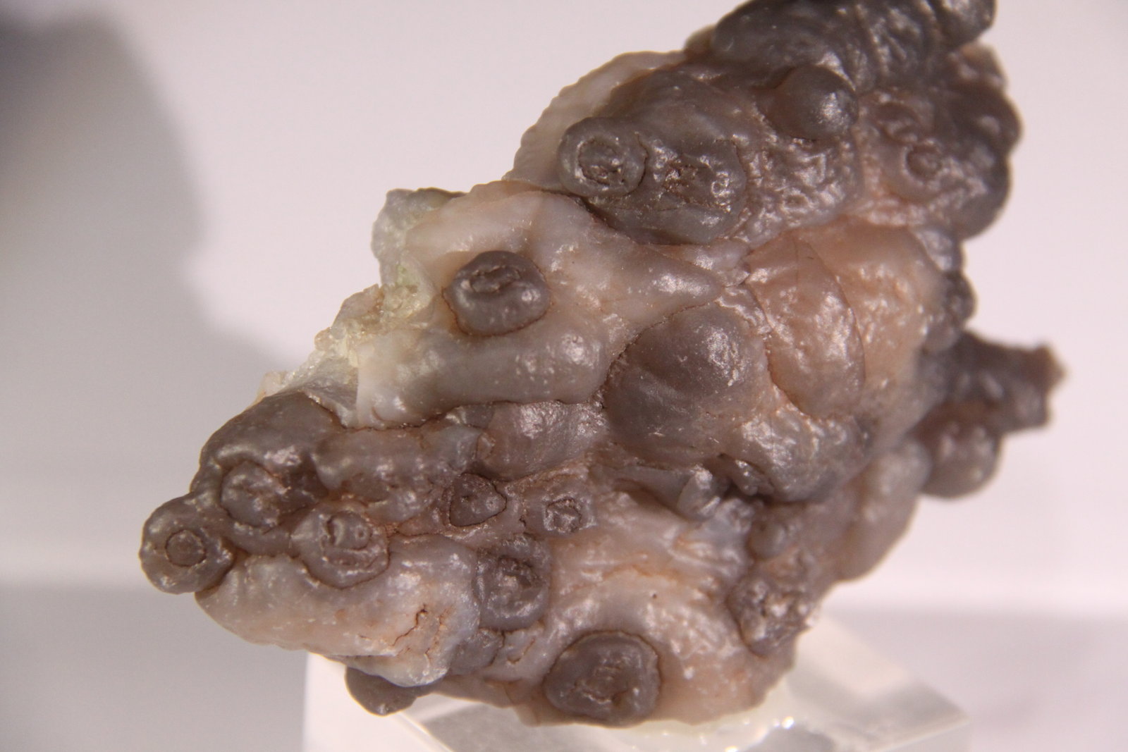 Quartz (variety chalcedony)
108mm x 67mm x 34mm
(Autor: Firmo Espinar)