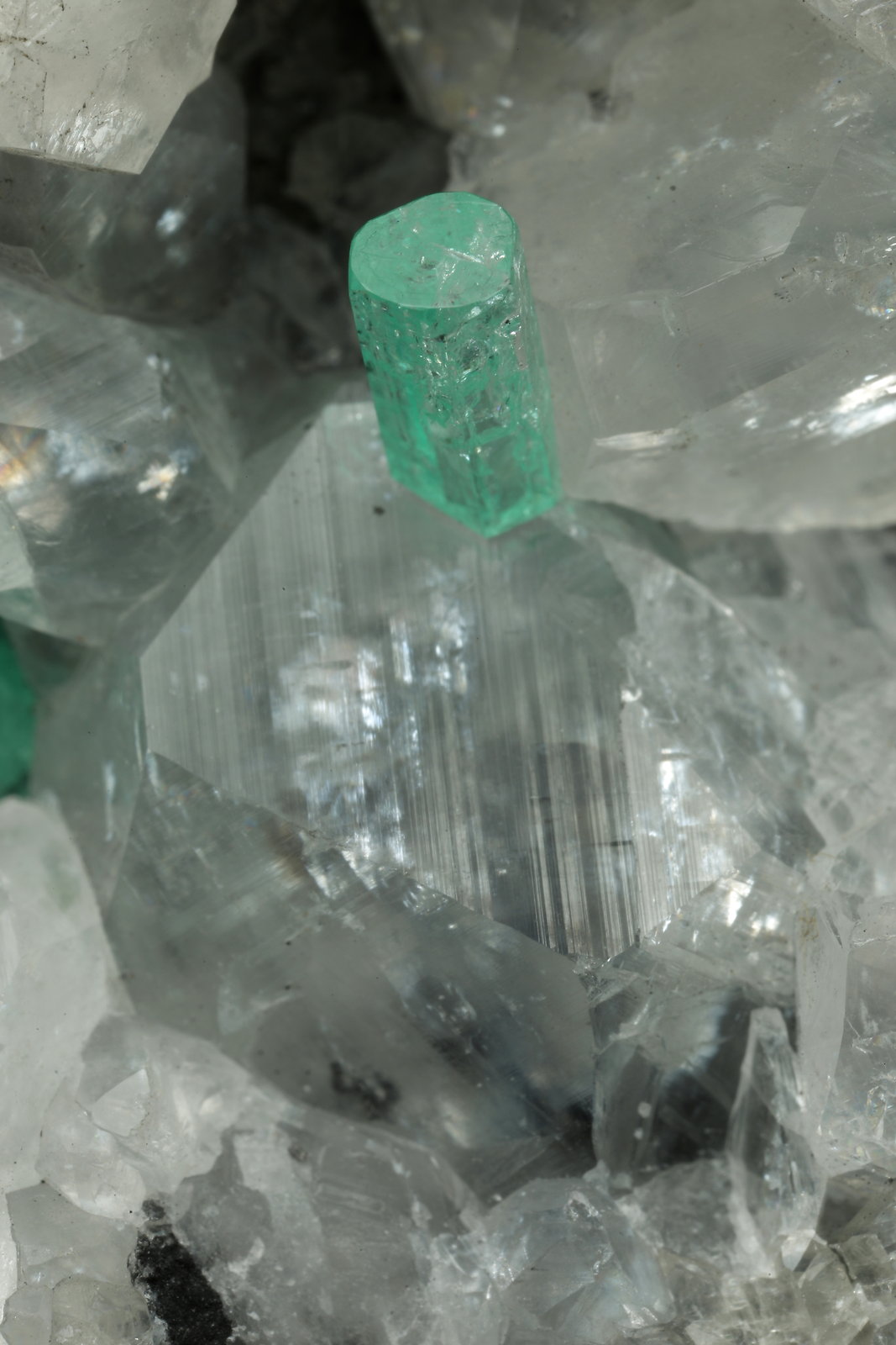 Beryl (variety emerald), Calcite
49x44x36mm, xls=6 & 4mm
(Autor: Fiebre Verde)