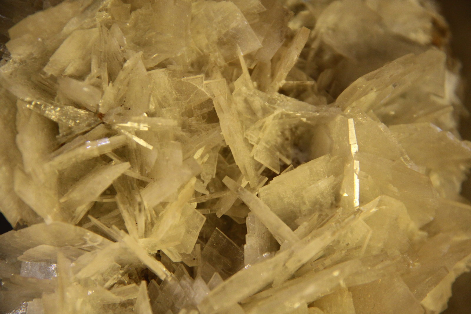 Baryte
106mm x 155mm x 54mm
(Autor: Firmo Espinar)