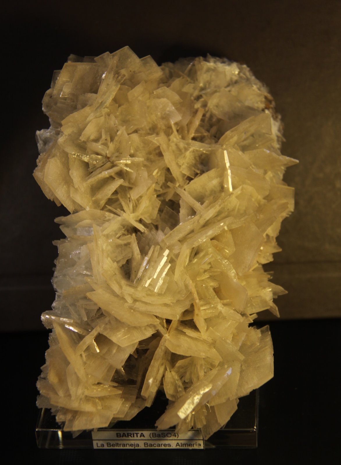 Baryte
106mm x 155mm x 54mm
(Autor: Firmo Espinar)