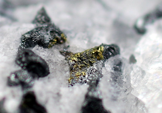 Acanthite, Calcite, Gold
4.7 x 3.5 x 2 centimeters
(Autor: Ricardo Melendez)
