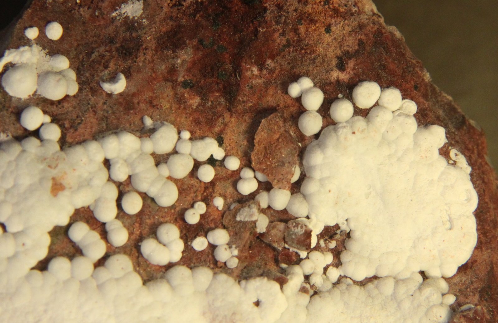 Aragonite
FOV 70 mm
(Autor: Firmo Espinar)