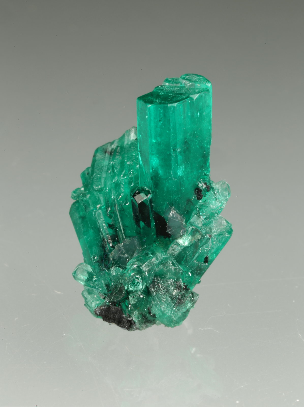 Beryl (variety emerald)
12x16mm
(Autor: Fiebre Verde)
