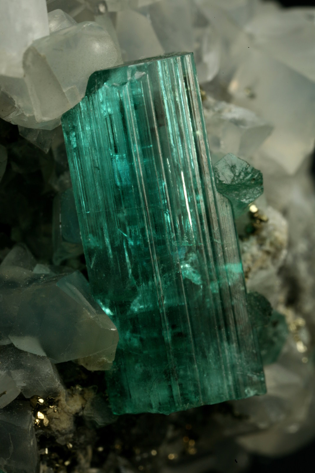 Beryl (variety emerald), Calcite, Pyrite
40x42x42mm, xl=18mm
(Autor: Fiebre Verde)