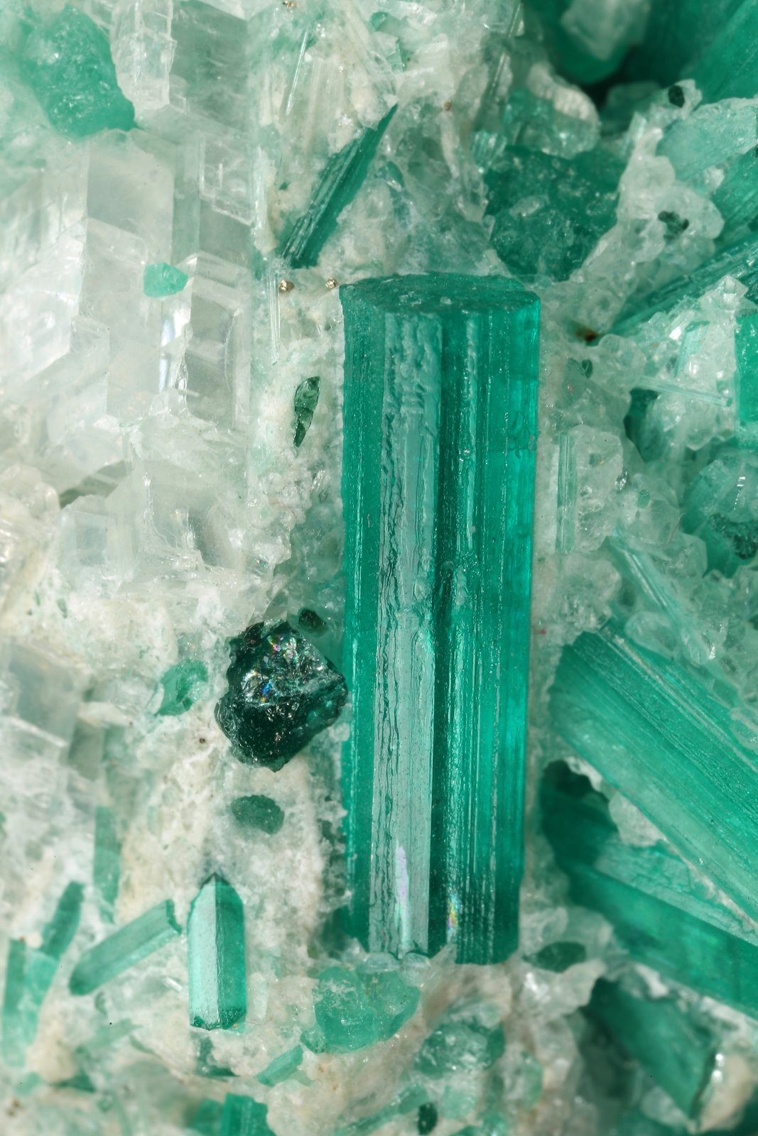 Beryl (variety emerald), Dolomite, Pyrite
42mm across, xls up to 14mm
(Autor: Fiebre Verde)