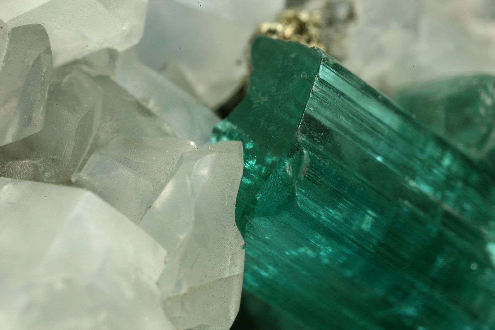 Beryl (variety emerald), Calcite, Pyrite
40x42x42mm, xl=18mm
(Autor: Fiebre Verde)