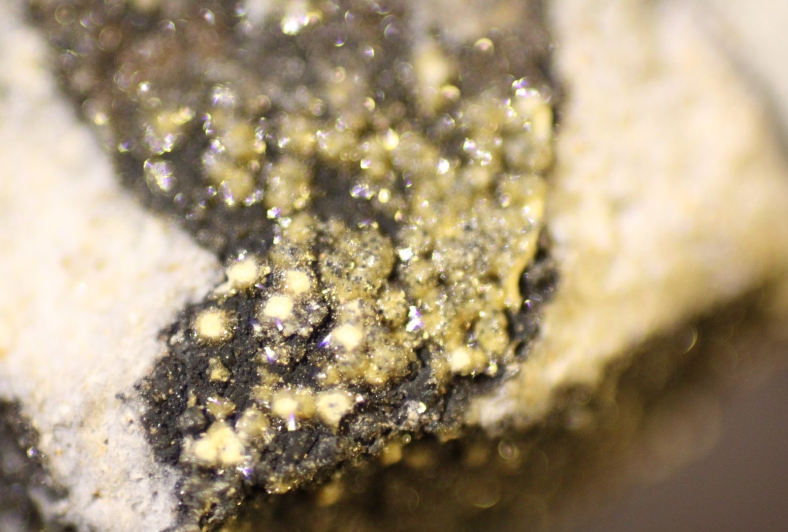 Brackebuschite
FOV 9 mm
(Autor: Firmo Espinar)