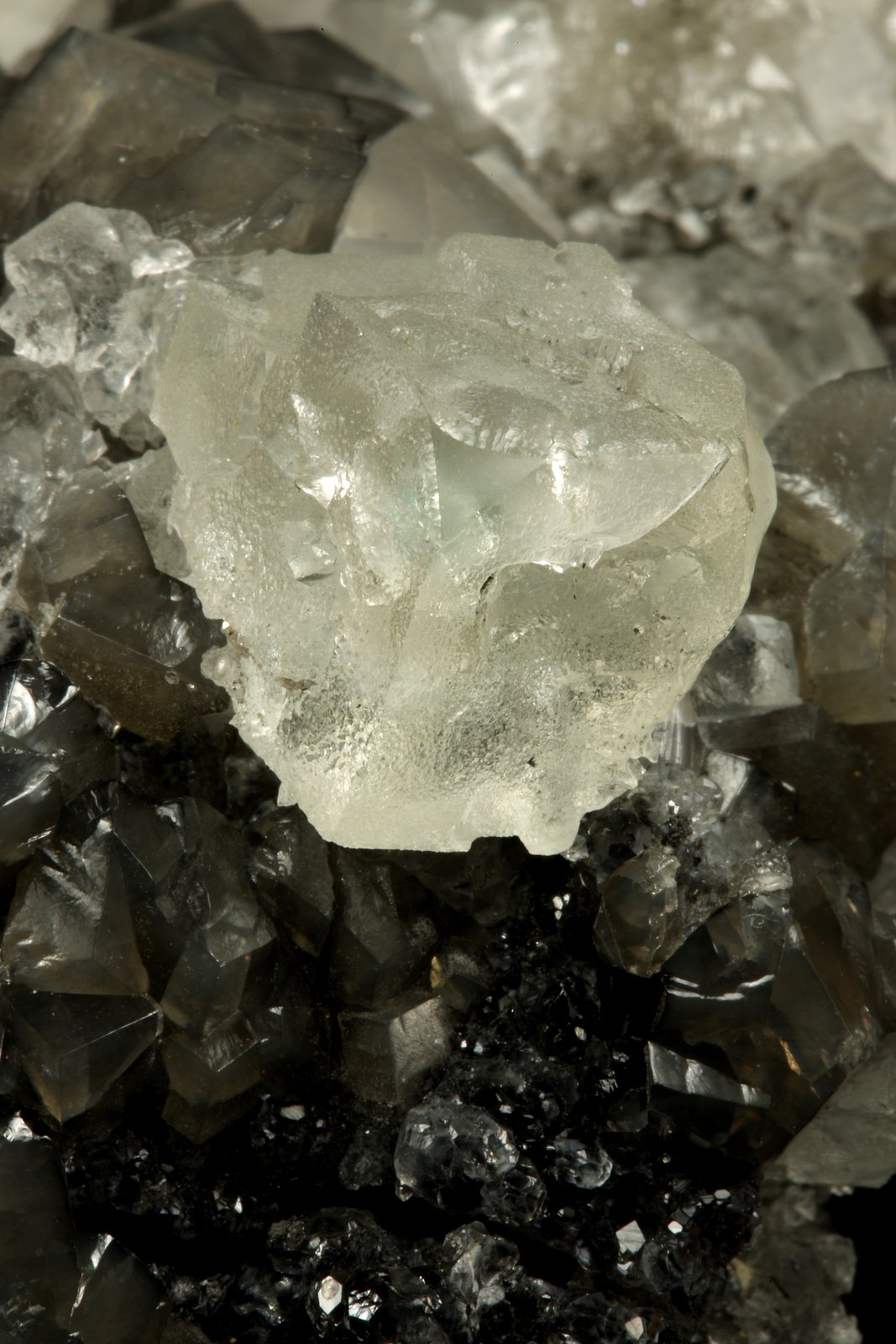 Beryl (variety emerald), Calcite, Fluorite
Fluorite largest side=17mm
(Autor: Fiebre Verde)