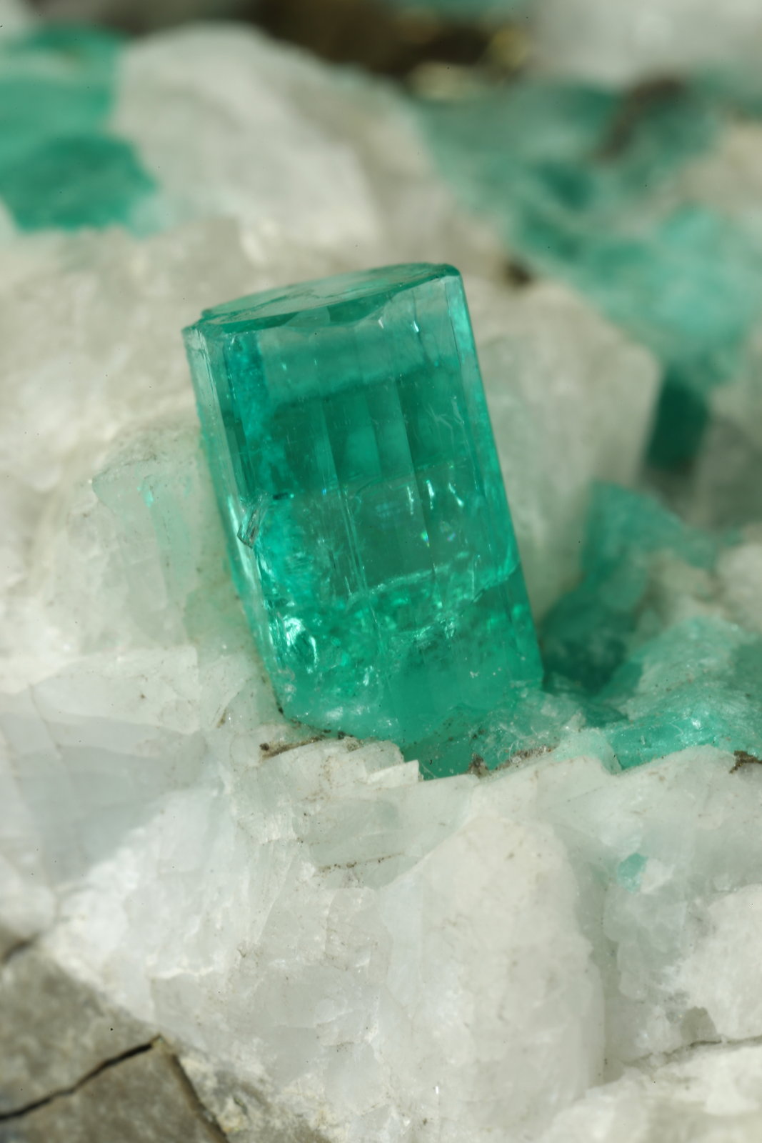 Beryl (variety emerald), Calcite, Pyrite
59x50x33mm, xl=8mm
(Autor: Fiebre Verde)
