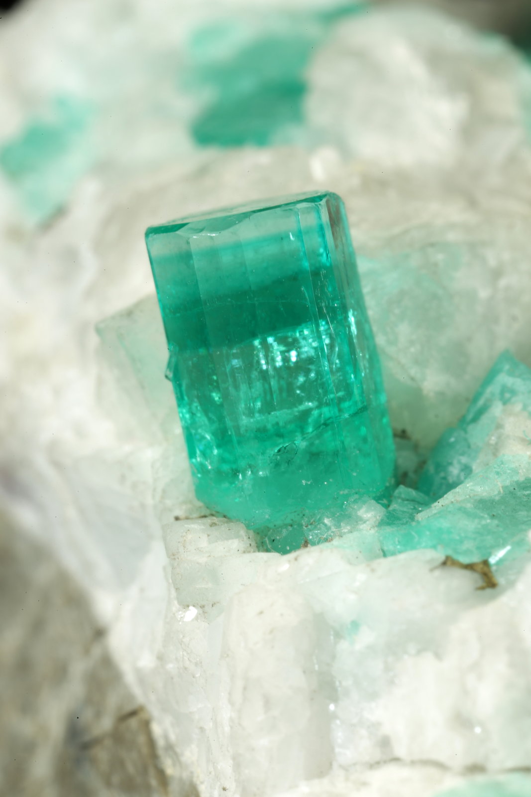 Beryl (variety emerald), Calcite, Pyrite
59x50x33mm, xl=8mm
(Autor: Fiebre Verde)