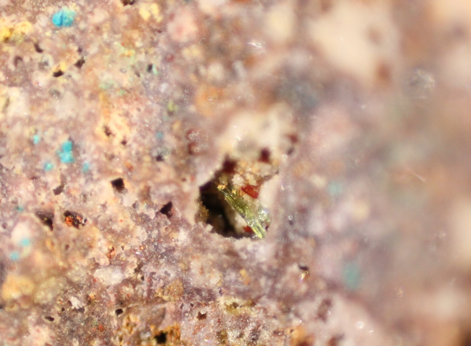 Olivenite
FOV 7 mm
(Autor: Firmo Espinar)