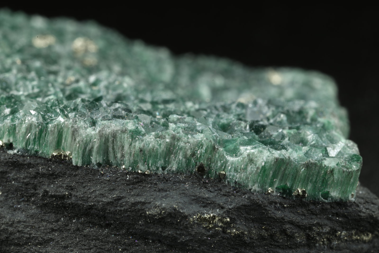 Muscovite (variety fuchsite), Pyrite
55x32x11mm
(Autor: Fiebre Verde)