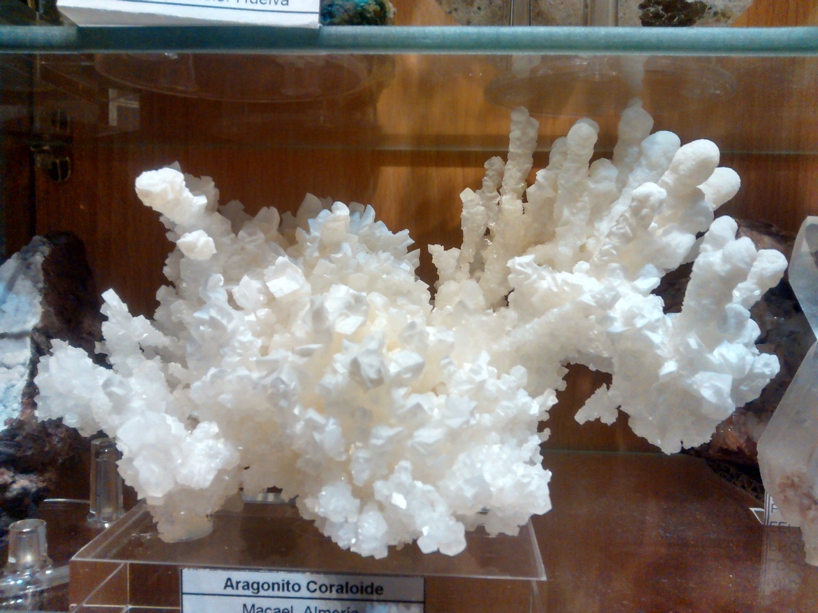 Aragonite
15 cm x 7 cm x 12 cm
(Autor: Firmo Espinar)