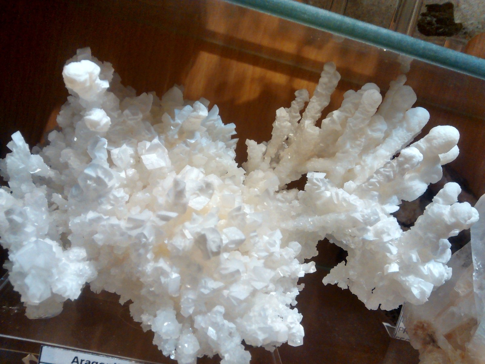 Aragonite
15 cm x 7 cm x 12 cm
(Autor: Firmo Espinar)