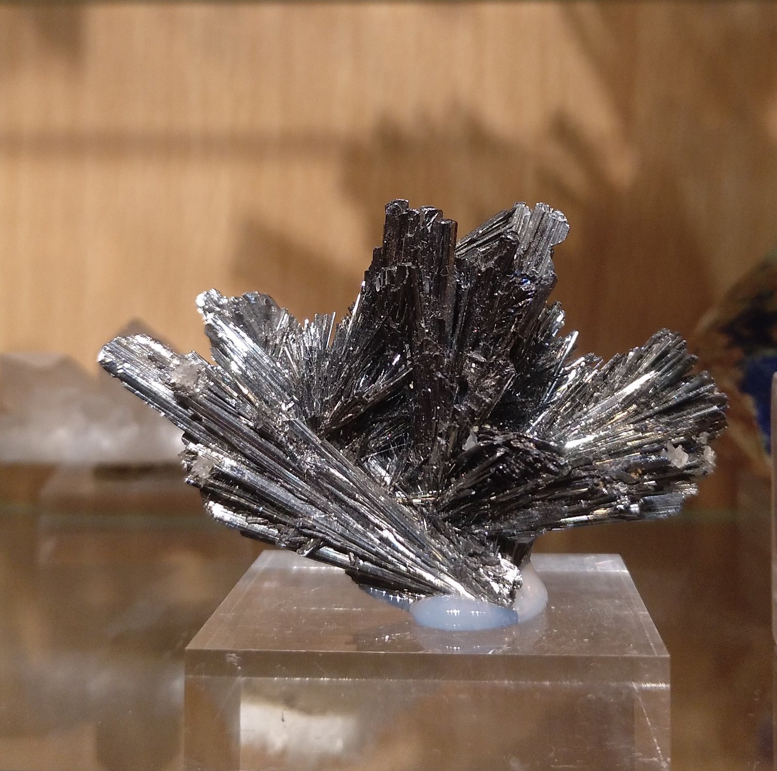 Stibnite
60mm x 39mm x 22mm
(Autor: Firmo Espinar)