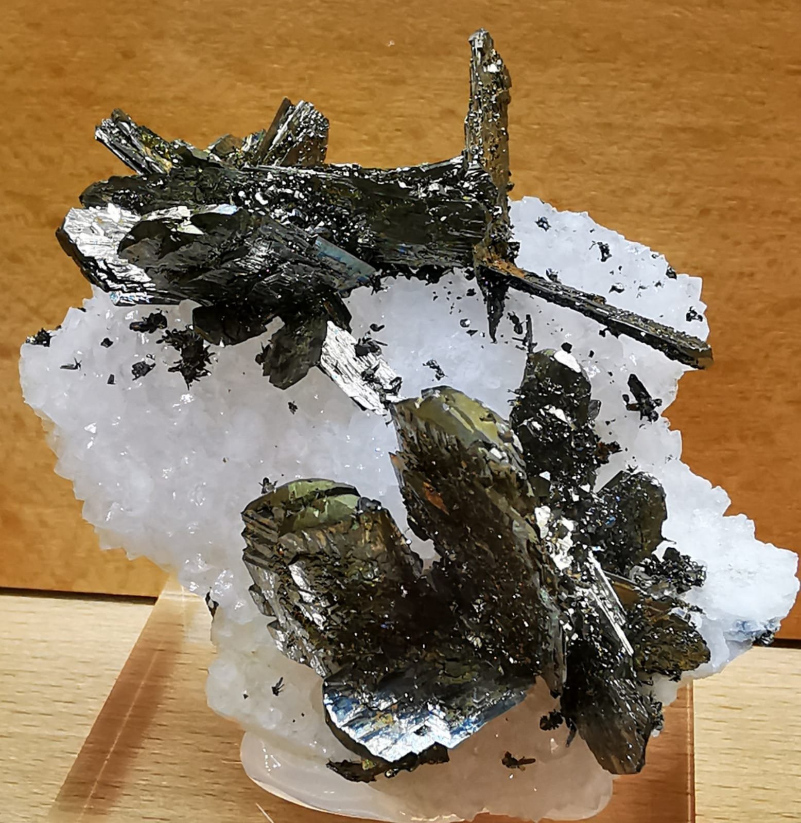 Marcasite
6x5 cm.
(Autor: Enrique Llorens)