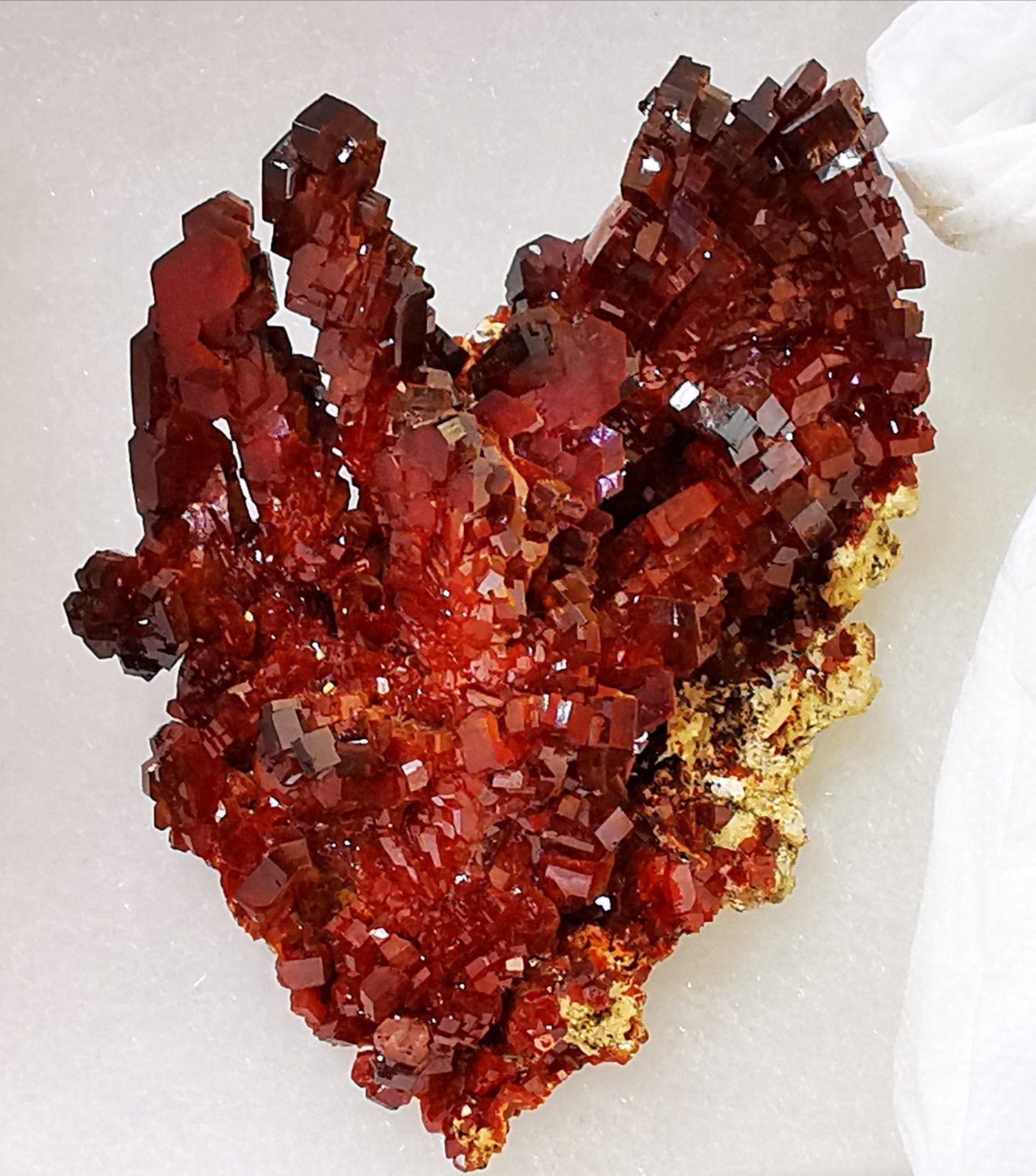 Vanadinite
9x8 cm aprox
(Autor: Enrique Llorens)