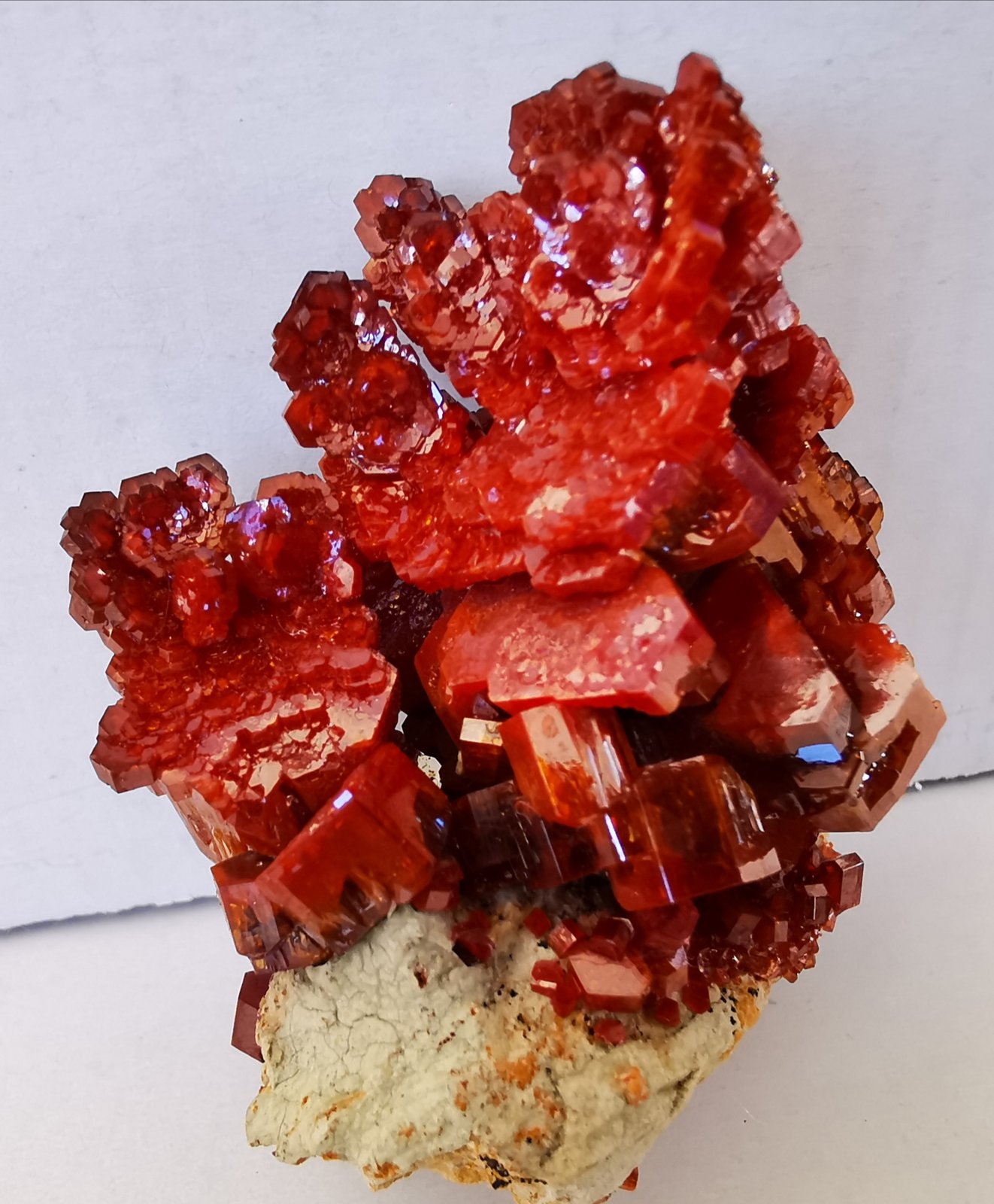 Vanadinite
5x5 cm. aprox.
(Autor: Enrique Llorens)