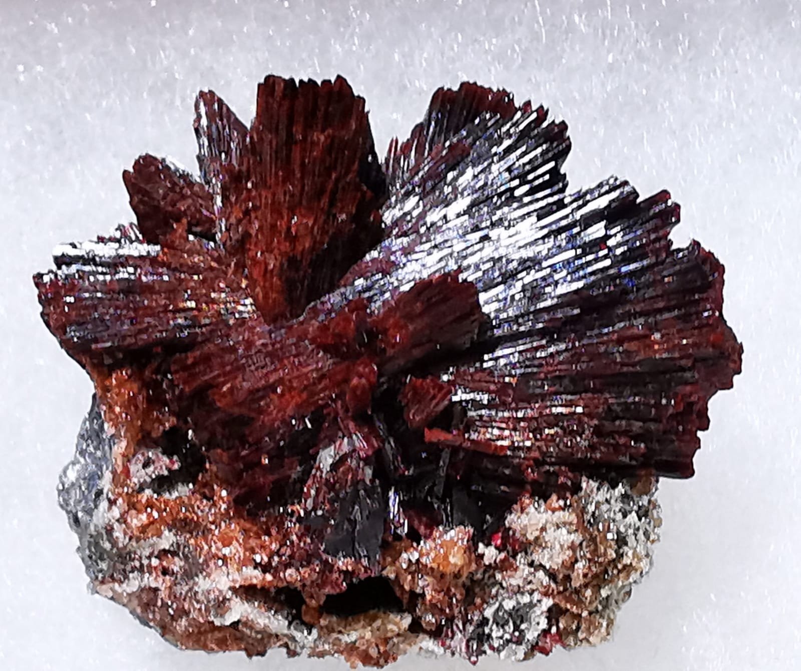 Erythrite
4x4 cm. approx
(Autor: Enrique Llorens)