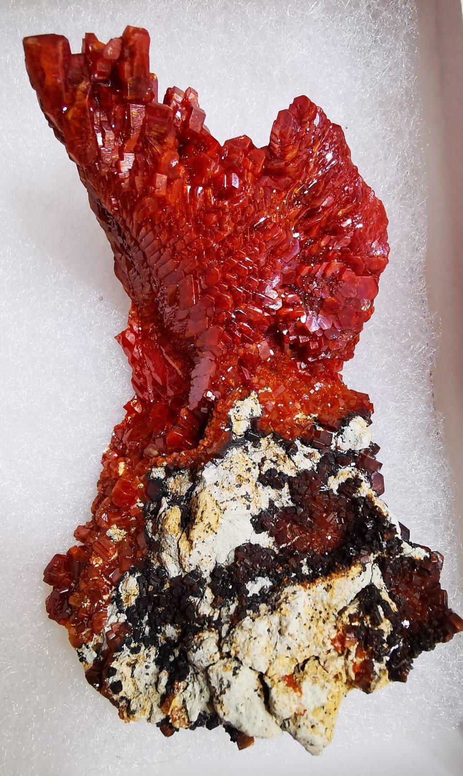 Vanadinite
5 cmx7,2 cm.
(Autor: Enrique Llorens)