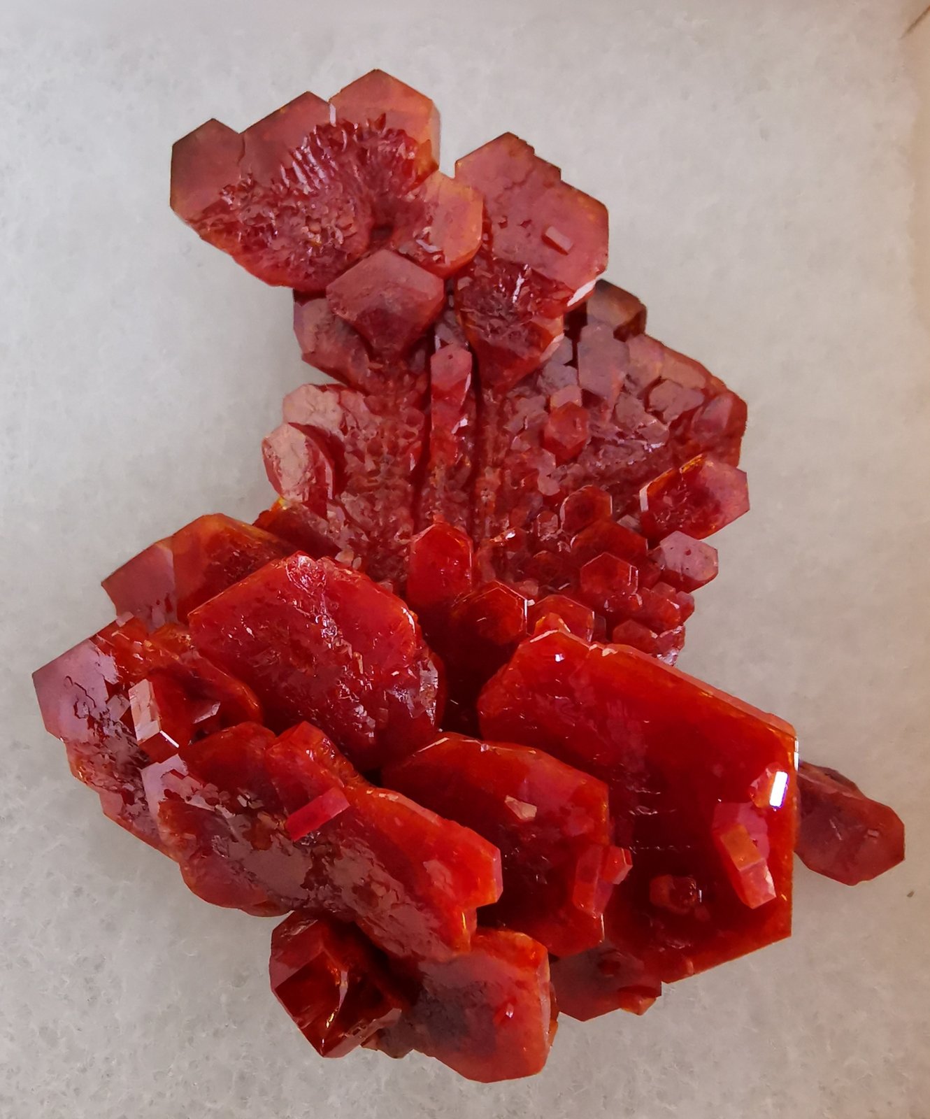 Vanadinite
6x6 cm.
(Autor: Enrique Llorens)